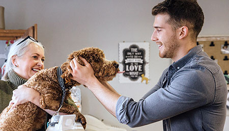 Veterinary Receptionist